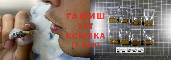 прущие грибы Алзамай