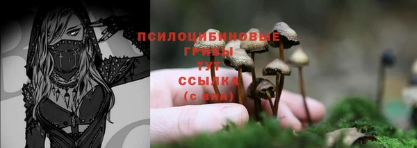 соль ск Алексеевка