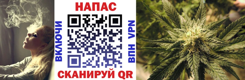 Шишки марихуана конопля  закладки  Жердевка 